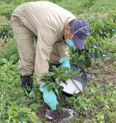FARMAKIN CA 950ML
