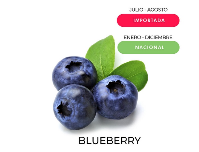 BLUEBERRY