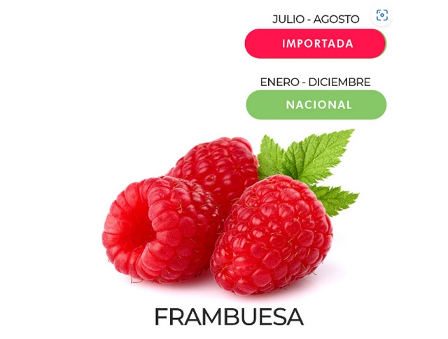FRAMBUESA