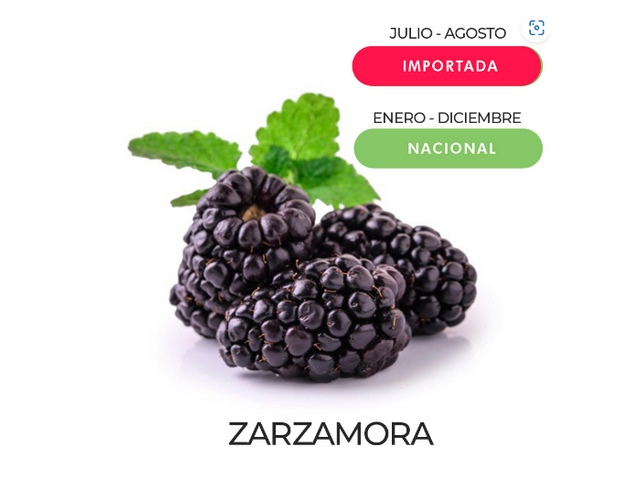 ZARZAMORA